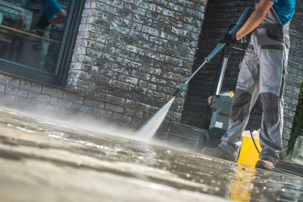 Best Soft Washing for Delicate Surfaces in Beaver Falls, PA